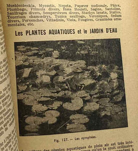 Comment on soigne son jardin - 10e édition