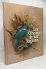 Les oiseaux de nos régions. Collectif