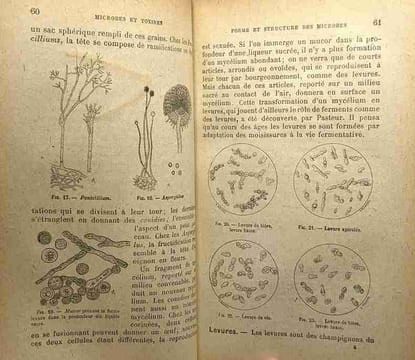Microbes et toxines avec une introduction de Elie Metchnikoff - bibliothèque de Philosophie scientifique. Burnet Étienne