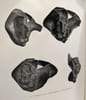 Archaeoloia Belgia 61 - miscellanea archaeologica in honorem. Breuer J