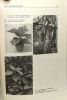 Handboek der bloemisterij - deel IIIb special cultures en exotische planten dicotyledoneae 1ste druk 1958. D. Van Raalte