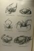 Guide pour l'aquarium de la station zoologique de Naples - 4e édition avec 167 illustrations. Collectif