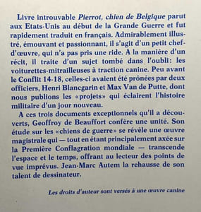 Chiens a la guerre