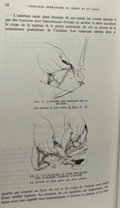 Guide pratique de chirurgie opératoire du chien et du chat