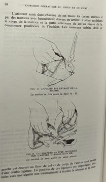 Guide pratique de chirurgie opératoire du chien et du chat. A. Noel Ormrod
