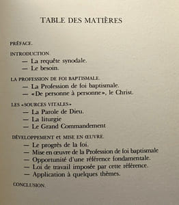 Dans la perspective d'une présentation sommaire et ordonnée de la foi : Pour une catéchèse renouvelée