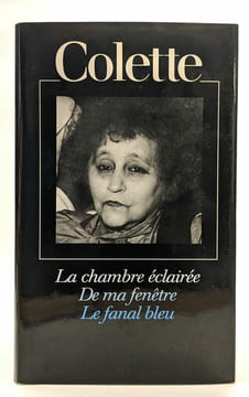 Lot: La chambre éclairée de ma fenêtre le fanal bleu Gigi julie de Carneilhan le képi mes apprentissages la trille muscate la seconde duo le ...