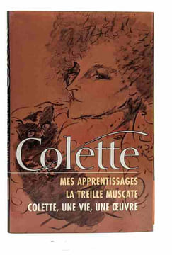 Lot: La chambre éclairée de ma fenêtre le fanal bleu Gigi julie de Carneilhan le képi mes apprentissages la trille muscate la seconde duo le ...