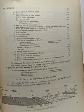 Étude géologique de l'Atlas Tunisien Oriental - annales des mines et de la géologie n°8 - direction des travaux publics. Castany Gilbert