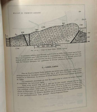 Étude géologique de l'Atlas Tunisien Oriental - annales des mines et de la géologie n°8 - direction des travaux publics. Castany Gilbert