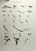 Excavations at Carthage 1976 conducted by the university of Michigan - VOLUME IV - institut national d'archéologie et d'art american schools of ...
