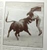 Toros: Regards sur la tauromachie : Les taureaux l'art de la corrida les toreros. Dupuy Pierre
