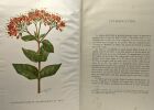 Études sur la flore des districts des bangala et de l'ubangi (Congo Belge) - Plantae Thonnerianae Congolenses - SERIE II - introduction par M. FR. ...