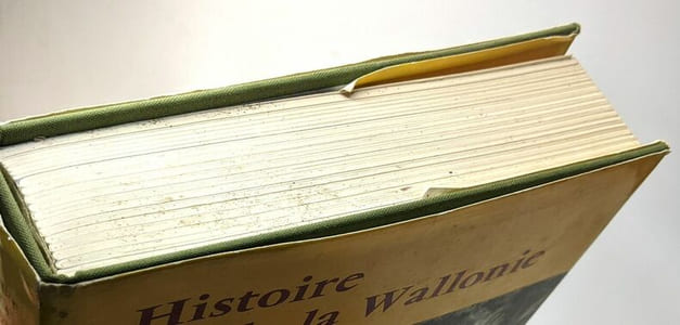 Histoire de la Wallonie - univers de la France et des pays francophones