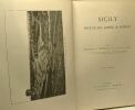 Sicily - Phoenician Greek & Roman VOL. 31 --- 3rd edition. Edward A. Freeman