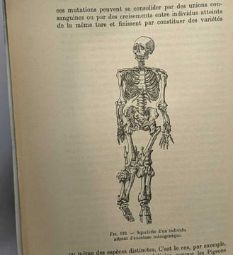 Le vieillissement du monde vivant - préface de Maurice Caullery. Decugis Henri