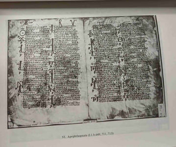 Coptic literary texts of the Pushkin state fine arts museum in Moscow - Studia Aegyptiaca XIII