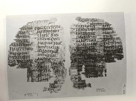 Coptic literary texts of the Pushkin state fine arts museum in Moscow - Studia Aegyptiaca XIII. A.I. Elanskaya