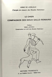 Le chien compagnon des Dieux gallo-romains