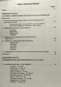 Le chien compagnon des Dieux gallo-romains