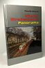 Wiener Strassenbahn - Panorama. Bilder aus der Zeit von 1865 bis 1982 (German Edition). josef-otto-slezak-hans-peter-pawlik