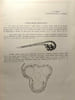 Inscriptiones latinae - tabulae in usum scholarum n&deg;4. Ernestus Diehl
