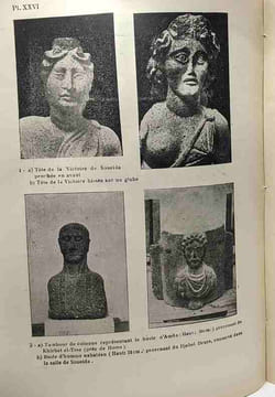 Catalogue illustré du département des antiquités greco-romaines au musée de Damas - TOME 1 - publications de la direction générale des antiquités de ...
