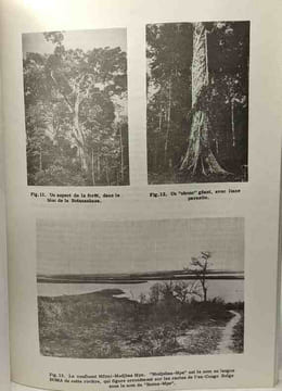Giribuma - Contribution à l'histoire et à la petite histoire du Congo équatorial - Koninklijk museum voor midden afrika tervuren belgie archief voor ...