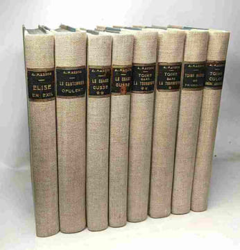 6 livres en 8 volumes: Elise en exil + Le cantonnier opulent + Le grand gusse (tome 1 & 2) + Toine dans la tourmente (tome 1 & 2) + Toine maïeur de ...