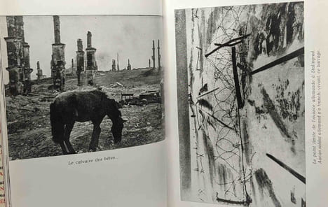 Les sacrifiés Stalingrad jusqu'à la dernière cartouche. Schroeter Heinz