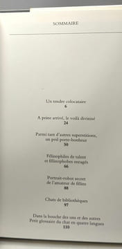 Le chat - Art histoire symbolisme - Totem. Amodeo Fabio