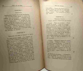 Essai d'introduction critique à l'étude de l'économie primitive - les théories de K. Buecher et l'ethnologie moderne