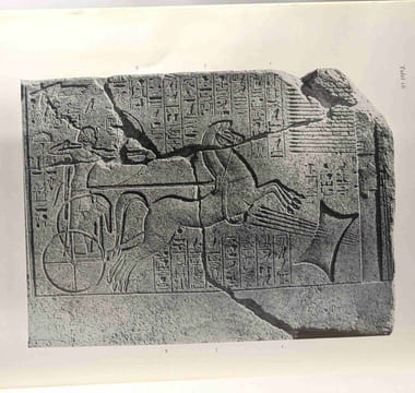 Hieroglyphische chrestomathie. Brunner Hellmut