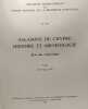 Salamine de Chypre : &eacute;tat des recherches (Colloques internationaux du Centre national de la recherche scientifique). Centre national de la recherche ...