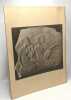 Ancient egypt an exhibition of El-Amarna sculptures and reliefs of the M.A. Mansoor Collection. Andreina Leanza Becker-Colonna