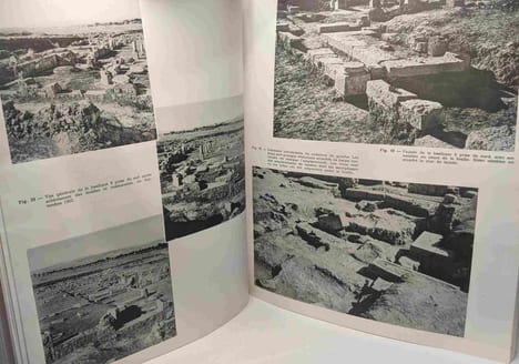 Fouilles de Sétif - les basiliques chrétiennes du quartier Nord-Ouest - centre de recherches scientifiques sur l'Afrique Méditerranéenne. Paul-Albert ...