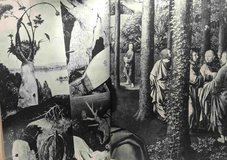Journal de l'analogiste. Lilar Suzanne