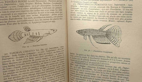 Traite complet de la vie des animaux en aquarium / Bibliothèque scientifique - 103 figures par M.R. Beck et R. Barre. Beck Pierre