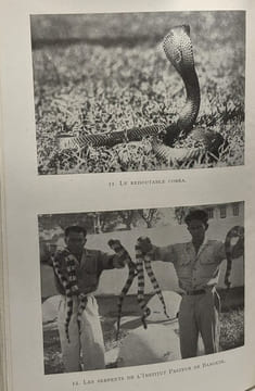 La randonnée asiatique - édition définitive - 32 illustrations 1 carte. Fred Blanchod