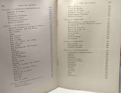 Manuel d'archéologie biblique - TOME I