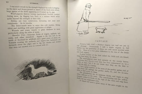 Charles St John's Note Books 1846-1853 Invererne Nairn Elgin