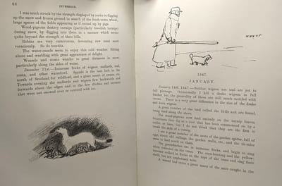 Charles St John's Note Books 1846-1853 Invererne Nairn Elgin