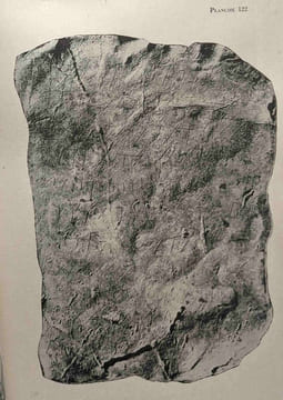 OGAM tradition celtique - histoire langue archéologie religion numismatique folklore textes - TOME XIV - fasc. 1 2/3 4/5 6 - N°79 80/81 82/83 84 1962. ...