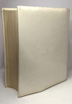 Histoire de l'Allemagne des origines à nos jours - TOME 1 (introduction à la civilisation primitive et origines germaniques à la fonadiont de ...