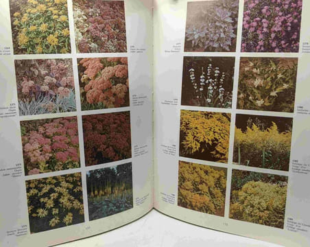 2000 fleurs plantes et arbustes en couleur - Nouveau dictionnaire pratique des fleurs plantes et arbustes de plein air et d'intérieur. Hay Roy Synge ...