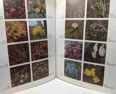 2000 fleurs plantes et arbustes en couleur - Nouveau dictionnaire pratique des fleurs plantes et arbustes de plein air et d'intérieur. Hay Roy Synge ...
