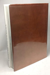 Art et Dieux de la Gaule - 314 héliogravures 4 cartes