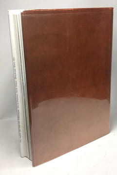 Art et Dieux de la Gaule - 314 héliogravures 4 cartes. Benoit Fernand