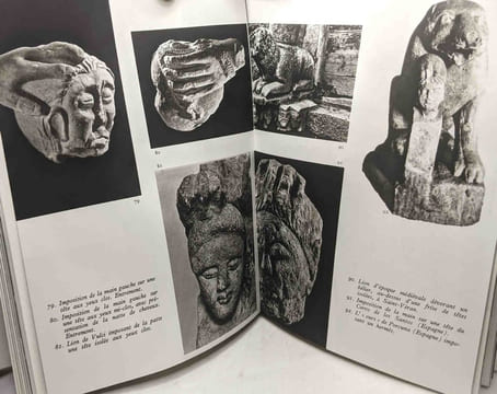 Art et Dieux de la Gaule - 314 héliogravures 4 cartes. Benoit Fernand