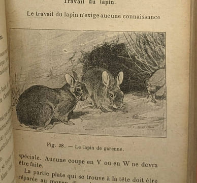 Manuel du fourreur - manuel pratique de la préparation et de la confection des fourrures / Bibliothèque professionnelle. Duval Georges Albertella ...